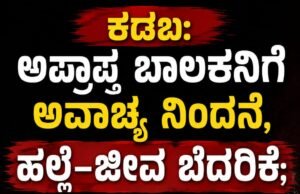 ಕಡಬ: ಅಪ್ರಾಪ್ತ ಬಾಲಕನಿಗೆ ಅವಾಚ್ಯ ನಿಂದನೆ, ಹಲ್ಲೆ–ಜೀವ ಬೆದರಿಕೆ : ಐವರ ವಿರುದ್ಧ ಪ್ರಕರಣ ದಾಖಲು…!!