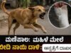 ಮಣಿಪಾಲ: ಮಹಿಳೆ ಮೇಲೆ ಬೀದಿ ನಾಯಿ ದಾಳಿ : ಆಸ್ಪತ್ರೆಗೆ ದಾಖಲು…!!