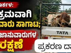 ಕಾರ್ಕಳ: ಅಕ್ರಮವಾಗಿ ಜಾನುವಾರು ಸಾಗಾಟ : 3 ಜಾನುವಾರುಗಳ ರಕ್ಷಣೆ…!!