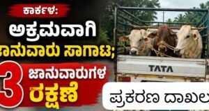 ಕಾರ್ಕಳ: ಅಕ್ರಮವಾಗಿ ಜಾನುವಾರು ಸಾಗಾಟ : 3 ಜಾನುವಾರುಗಳ ರಕ್ಷಣೆ…!!