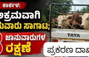 ಕಾರ್ಕಳ: ಅಕ್ರಮವಾಗಿ ಜಾನುವಾರು ಸಾಗಾಟ : 3 ಜಾನುವಾರುಗಳ ರಕ್ಷಣೆ…!!