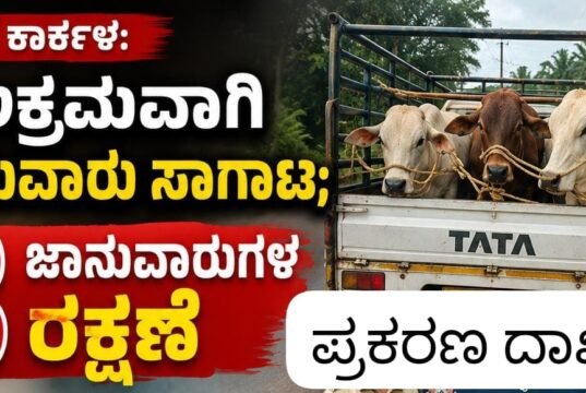 ಕಾರ್ಕಳ: ಅಕ್ರಮವಾಗಿ ಜಾನುವಾರು ಸಾಗಾಟ : 3 ಜಾನುವಾರುಗಳ ರಕ್ಷಣೆ…!!