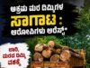 ಅಕ್ರಮ ಮರ ದಿಮ್ಮಿಗಳ ಸಾಗಾಟ : ಲಾರಿ, ಮರದ ದಿಮ್ಮಿ ವಶಕ್ಕೆ ಆರೋಪಿ ಅರೆಸ್ಟ್..!!