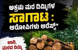 ಅಕ್ರಮ ಮರ ದಿಮ್ಮಿಗಳ ಸಾಗಾಟ : ಲಾರಿ, ಮರದ ದಿಮ್ಮಿ ವಶಕ್ಕೆ ಆರೋಪಿ ಅರೆಸ್ಟ್..!!