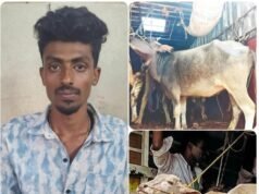 ಕಂಕನಾಡಿಯಲ್ಲಿ ಅಕ್ರಮ ಜಾನುವಾರು ಸಾಗಾಟ ಪತ್ತೆ : 17 ಜಾನುವಾರುಗಳ ರಕ್ಷಣೆ…!!