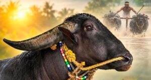 ಕಂಬಳದ ಕ್ಷೇತ್ರದ ದಂತಕಥೆ : ನಂದಳಿಕೆ “ಪಾಂಡು” ಇನ್ನು ನೆನಪು ಮಾತ್ರ…!!