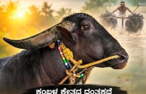 ಕಂಬಳದ ಕ್ಷೇತ್ರದ ದಂತಕಥೆ : ನಂದಳಿಕೆ “ಪಾಂಡು” ಇನ್ನು ನೆನಪು ಮಾತ್ರ…!!