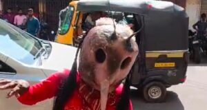ವಿಟ್ಲಪಿಂಡಿಯಲ್ಲಿ ‘ಸೊಳ್ಳೆ’–‘ನರ್ಸ್’ ಜೋಡಿ ವಿಶೇಷ ಆಕರ್ಷಣೆ : ವೇಷದ ಮೂಲಕ ಆರೋಗ್ಯ ಜಾಗೃತಿ…!!