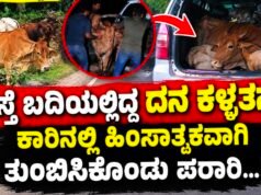 ಕೊಲ್ಲೂರು: ರಸ್ತೆ ಬದಿಯಲ್ಲಿದ್ದ ದನ ಕಳ್ಳತನ : ಕಾರಿನಲ್ಲಿ ಹಿಂಸಾತ್ಮಕವಾಗಿ ತುಂಬಿಸಿಕೊಂಡು ಪರಾರಿ…!!
