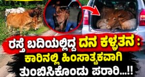 ಕೊಲ್ಲೂರು: ರಸ್ತೆ ಬದಿಯಲ್ಲಿದ್ದ ದನ ಕಳ್ಳತನ : ಕಾರಿನಲ್ಲಿ ಹಿಂಸಾತ್ಮಕವಾಗಿ ತುಂಬಿಸಿಕೊಂಡು ಪರಾರಿ…!!