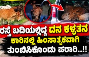 ಕೊಲ್ಲೂರು: ರಸ್ತೆ ಬದಿಯಲ್ಲಿದ್ದ ದನ ಕಳ್ಳತನ : ಕಾರಿನಲ್ಲಿ ಹಿಂಸಾತ್ಮಕವಾಗಿ ತುಂಬಿಸಿಕೊಂಡು ಪರಾರಿ…!!