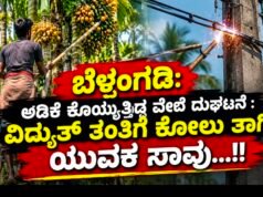 ಬೆಳ್ತಂಗಡಿ: ಅಡಿಕೆ ಕೊಯ್ಯುತ್ತಿದ್ದ ವೇಳೆ ದುರ್ಘಟನೆ : ವಿದ್ಯುತ್ ತಂತಿಗೆ ಕೋಲು ತಾಗಿ ಯುವಕ ಸಾವು…!!
