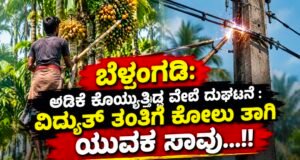 ಬೆಳ್ತಂಗಡಿ: ಅಡಿಕೆ ಕೊಯ್ಯುತ್ತಿದ್ದ ವೇಳೆ ದುರ್ಘಟನೆ : ವಿದ್ಯುತ್ ತಂತಿಗೆ ಕೋಲು ತಾಗಿ ಯುವಕ ಸಾವು…!!