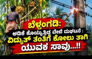 ಬೆಳ್ತಂಗಡಿ: ಅಡಿಕೆ ಕೊಯ್ಯುತ್ತಿದ್ದ ವೇಳೆ ದುರ್ಘಟನೆ : ವಿದ್ಯುತ್ ತಂತಿಗೆ ಕೋಲು ತಾಗಿ ಯುವಕ ಸಾವು…!!