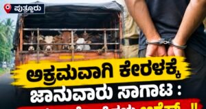 ಪುತ್ತೂರು: ಅಕ್ರಮವಾಗಿ ಕೇರಳಕ್ಕೆ ಜಾನುವಾರು ಸಾಗಾಟ : ಇಬ್ಬರು ಆರೋಪಿಗಳು ಅರೆಸ್ಟ್…!!