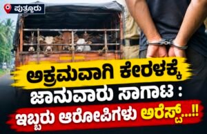 ಪುತ್ತೂರು: ಅಕ್ರಮವಾಗಿ ಕೇರಳಕ್ಕೆ ಜಾನುವಾರು ಸಾಗಾಟ : ಇಬ್ಬರು ಆರೋಪಿಗಳು ಅರೆಸ್ಟ್…!!