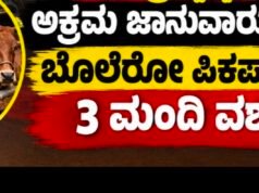 ಸುಬ್ರಹ್ಮಣ್ಯ: ಅಕ್ರಮ ಜಾನುವಾರು ಸಾಗಾಟ : ಬೊಲೆರೋ ಪಿಕಪ್ ಸಮೇತ 3 ಮಂದಿ ವಶಕ್ಕೆ…!!