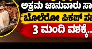 ಸುಬ್ರಹ್ಮಣ್ಯ: ಅಕ್ರಮ ಜಾನುವಾರು ಸಾಗಾಟ : ಬೊಲೆರೋ ಪಿಕಪ್ ಸಮೇತ 3 ಮಂದಿ ವಶಕ್ಕೆ…!!