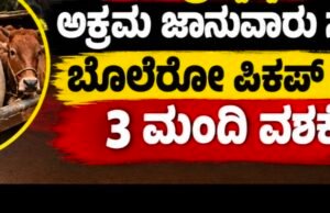 ಸುಬ್ರಹ್ಮಣ್ಯ: ಅಕ್ರಮ ಜಾನುವಾರು ಸಾಗಾಟ : ಬೊಲೆರೋ ಪಿಕಪ್ ಸಮೇತ 3 ಮಂದಿ ವಶಕ್ಕೆ…!!